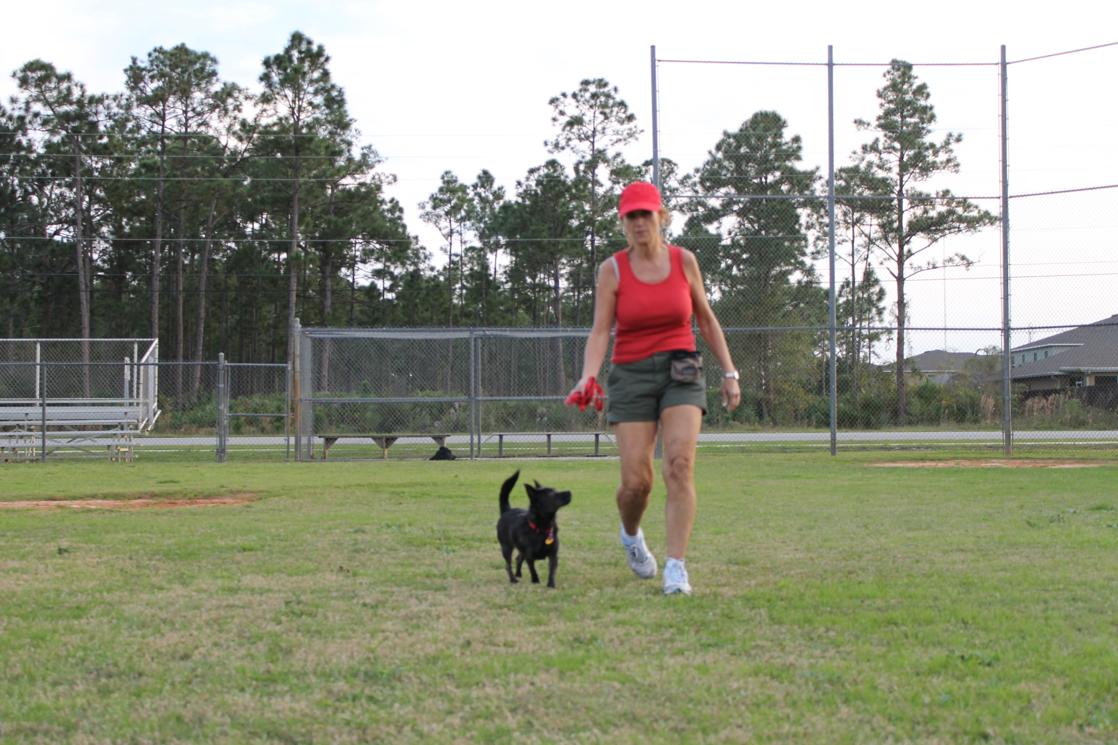 Carol DePaul training a dog outdoors